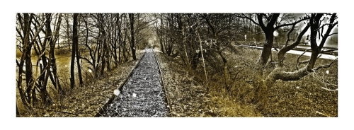 Schienen auf dem Land (http://img.fotocommunity.com/images/Landschaft/Wege-und-Pfade/Schienen-auf-dem-Land-a23892170.jpg)